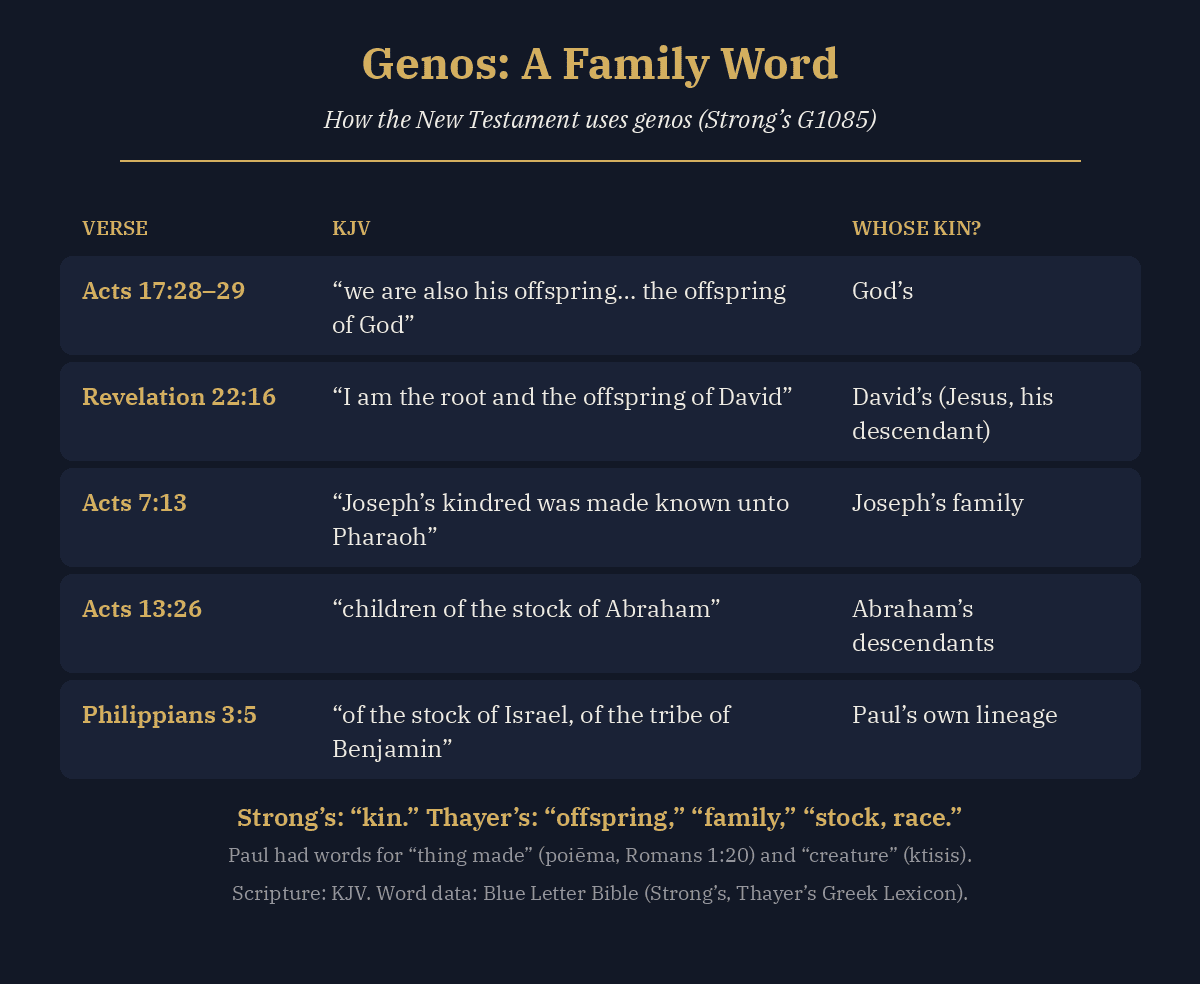 Table of how the New Testament uses the Greek word genos: God's offspring in Acts 17, the offspring of David in Revelation 22:16, Joseph's kindred, the stock of Abraham, the stock of Israel