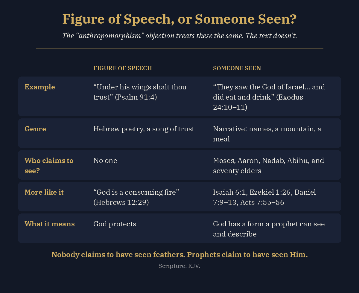 Comparison card: figures of speech such as Psalm 91:4 under his wings versus accounts of God being seen, such as Exodus 24:10-11, where seventy elders saw God and ate and drank