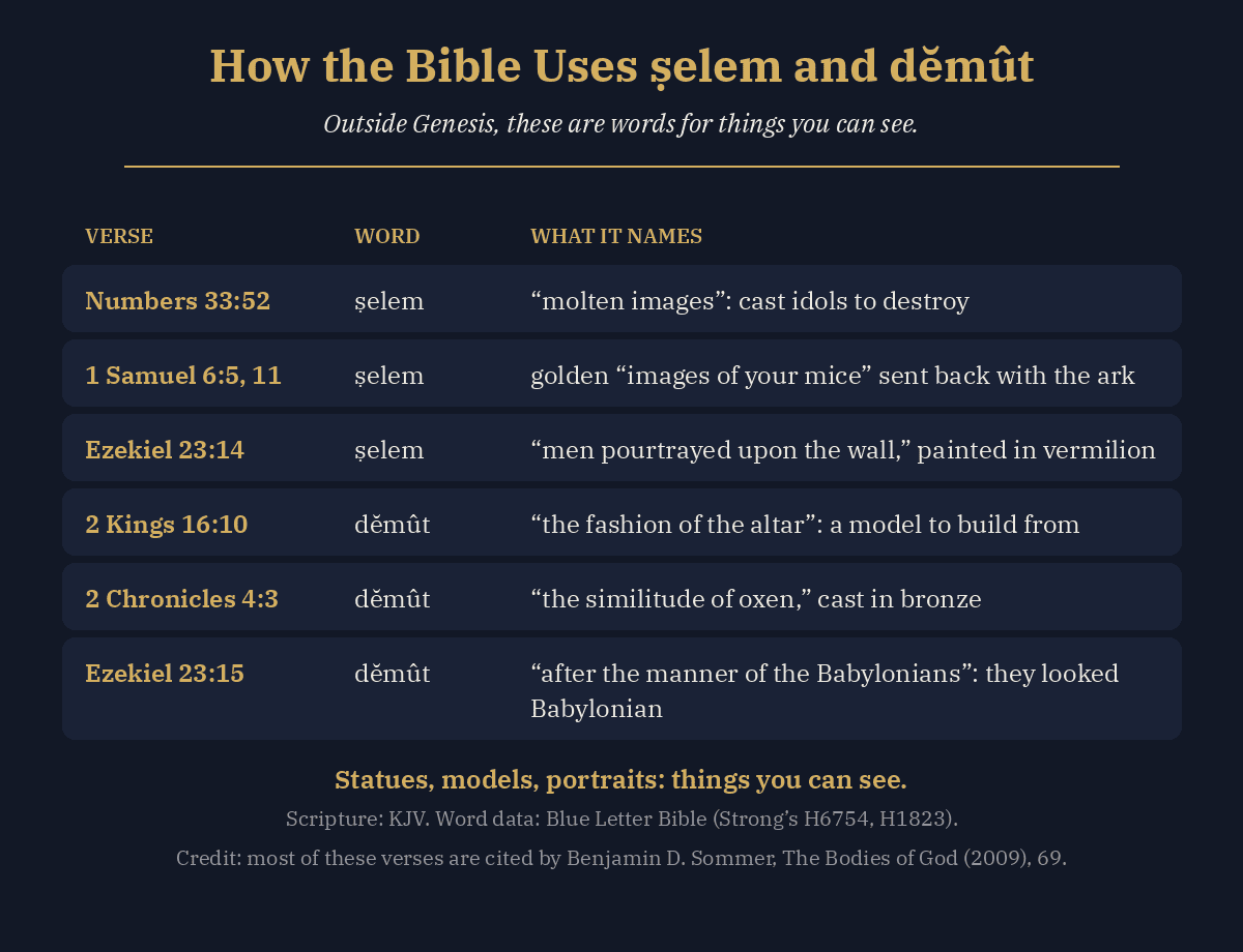 Table of how the Bible uses selem and demut: molten images, golden images of mice, portraits on a wall, the pattern of an altar, cast oxen