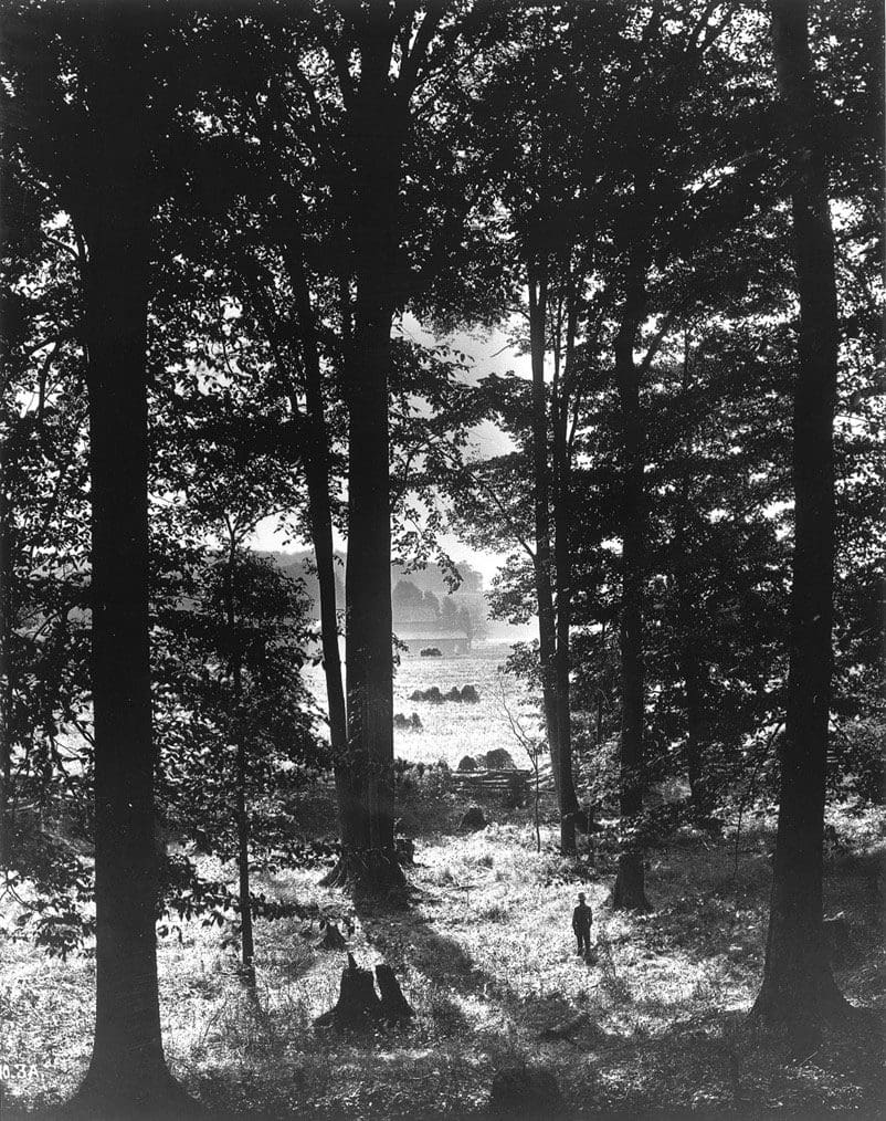 The Sacred Grove near Palmyra, New York, photographed c. 1907